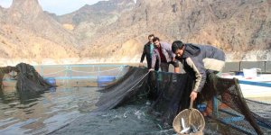 Ayvalı Baraj Gölü'nde alabalık ve somon üretimi, balıkçıların yüzünü güldürüyor