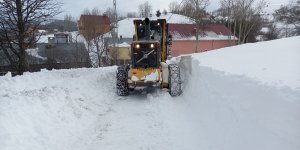 Ardahan'da kardan kapanan 48 köy yolu ulaşıma açıldı