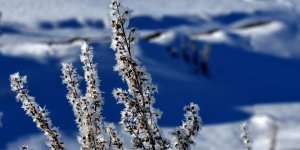 Erzurum, Kars ve Tunceli'de kar yağışı etkili oluyor