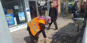 Özalp ilçesinde sokak hayvanları için beslenme etkinliği
