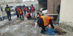 Özalp'ta sokak hayvanları için farklı noktalara mama bırakıldı