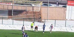 Sahaya giren davetsiz misafire hakem müdahalesi