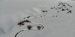 Ağrı'da çiftçiler yeni tarım sezonundan umutlu
