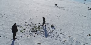 'Doğanın bekçileri' Doğu'da yaban hayatını korumak için karlı arazide iz sürüyor