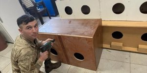 Mehmetçik Tunceli'de atık malzemelerden sokak hayvanlarına yuva yaptı