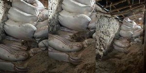 Kaz ve hindilerini yiyen tilkiyle dost oldu