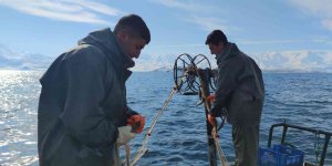 Üreme döneminde alınan tedbirler inci kefalinin çoğalmasını sağladı
