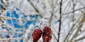 Ağrı'da ilkbaharda da soğuklar etkisini sürdürüyor