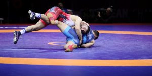 Avrupa Güreş Şampiyonası