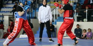 Ağrı'da 'Wushu Türkiye Şampiyonası' tamamlandı