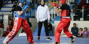 Ağrı'da "Wushu Türkiye Şampiyonası" tamamlandı