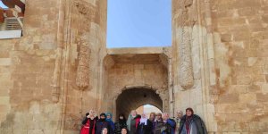 Asırlık çınarlar İshak Paşa Sarayı'nda