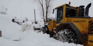 Muş'ta 32 köy yolu ulaşıma kapandı