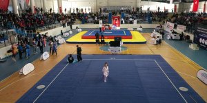 Ağrı'da "Wushu Türkiye Şampiyonası" başladı