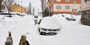 Yoğun karın etkisini sürdürdüğü Ağrı'da ilkbaharda kış mevsimi yaşanıyor