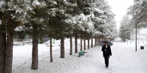 Van, Hakkari, Bitlis ve Muş'ta 385 yerleşimin yolu kardan kapandı