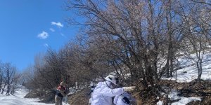 Bingöl'de jandarma ve polis ekipler doğaya yem bıraktı