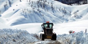 Van, Muş, Bitlis ve Hakkari'de 172 yerleşimin yolu kardan kapandı