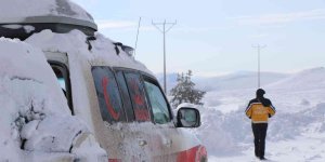 Paletli ambulanslar Erzincan'da 55 hastanın derdine derman oldu