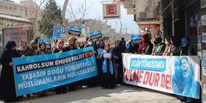 Van'da Doğu Türkistan'daki kadınlar için 'Mavi Yürüyüş' düzenlendi