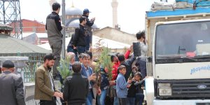 Karlıova'da 10 bin adet fidan dağıtıldı