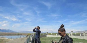 Türkülere ilham kaynağı olan turnaların envanter çalışması yapıldı