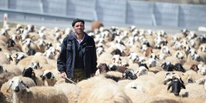 Bingöl yaylaları ömürleri hayvanlarının peşinde geçen göçerleri ağırlıyor