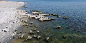 Van Gölü kıyısındaki mikrobiyalitler turizmde yeni rota oluşturabilir