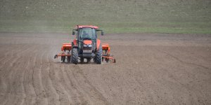 Muş'ta 60 bin dekar alanda şeker pancarı üretimi hedefleniyor