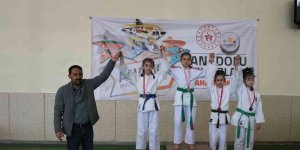 ANALİG Judo yarı final müsabakaları Erzincan'da yapıldı