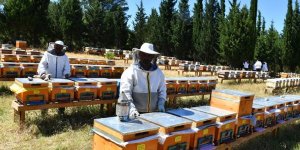 Erzincan'da arıcılara şeker desteği verilecek