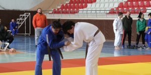 Judoda Analig heyecanı sona erdi