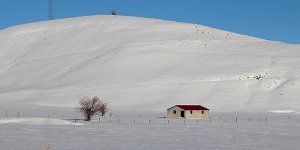 Beyaza bürünen Bingöl Karlıova'da karın etkisi sürüyor