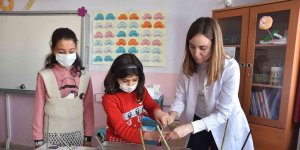 Adilcevaz Kaymakamlığından 'Ebru Sanatı' projesi