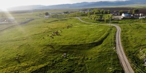 Ağrı, yeşilin tonlarıyla ışık saçtı