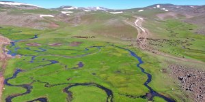 Ağrı'da platolar arasındaki mendereslerde bahar güzelliği