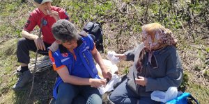 Erzincan'da ışkın toplarken ayağını kıran kadını AFAD, UMKE ve JAK ekipleri kurtardı