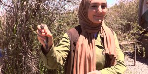 Aras Kuş Cenneti'nde 107 kuş türünün ürediği belirlendi