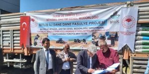 Güroymak'taki çiftçilere fasulye tohumu dağıtımı