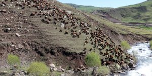Iğdır'dan Ağrı yaylalarına göçerlerin yolculuğu başladı