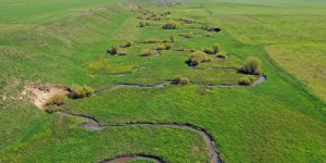Ağrı'daki menderesler bahar renklerine büründü