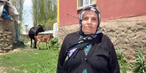 Tek geçim kaynağı olan ineği ölen kadına bakanlıktan sürpriz