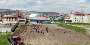 Öğrencilere tarımı öğretmek için Ağrı'da okul arazileri bostana dönüştürülüyor