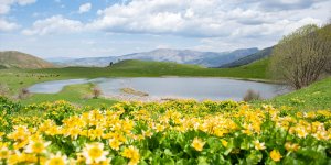 Erzurum'un ilçeleri ilkbahar güzelliğiyle fotoğraf tutkunlarını ağırlıyor