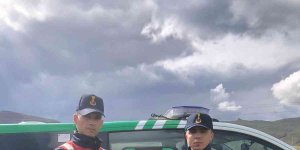 Yaralı şahine jandarma sahip çıktı