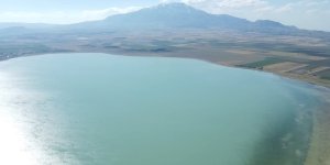Kuş cenneti Arin Gölü yok olma tehlikesiyle karşı karşıya