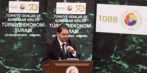 ETB başkanı Oral bölgenin sorunlarını Cumhurbaşkanı Yardımcısı Fuat Oktay'a aktardı