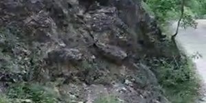 Tunceli'de tilki ve kedinin ekmek kavgası