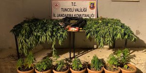 Tunceli'de evinde uyuşturucu ele geçirilen şüpheli gözaltına alındı