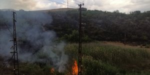 Malatya'da çıkan yangında kayısı bahçesi zarar gördü